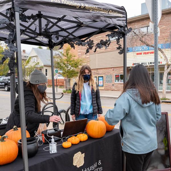 Pumpkin patch and pumpkin painting