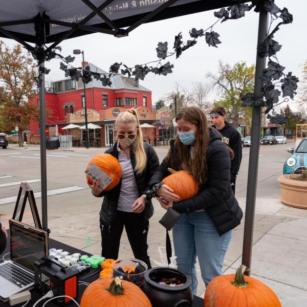 Pumpkin Patch and Painting 