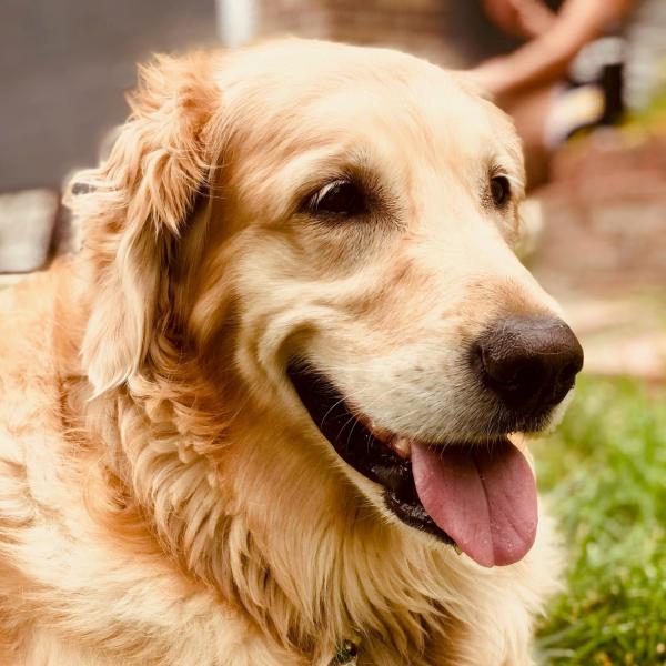Riley - Molly Brauer, UMC