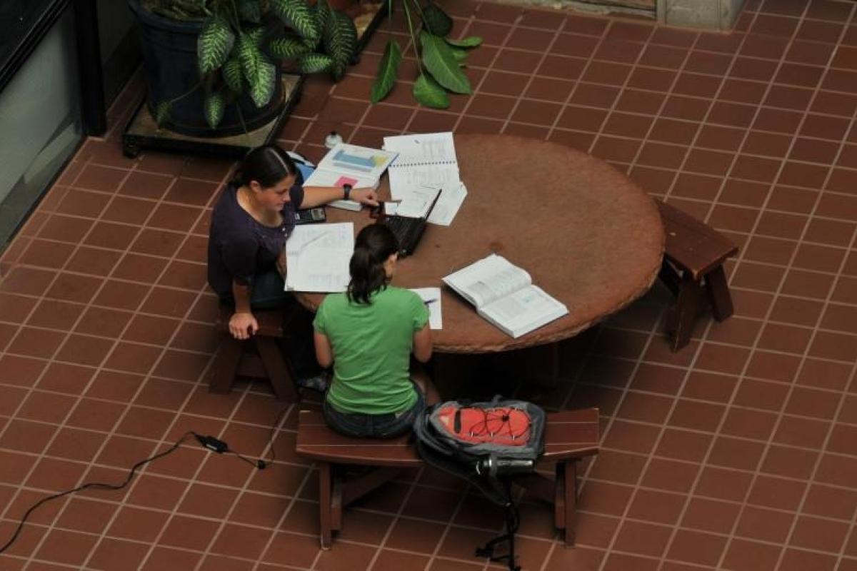 Students studying