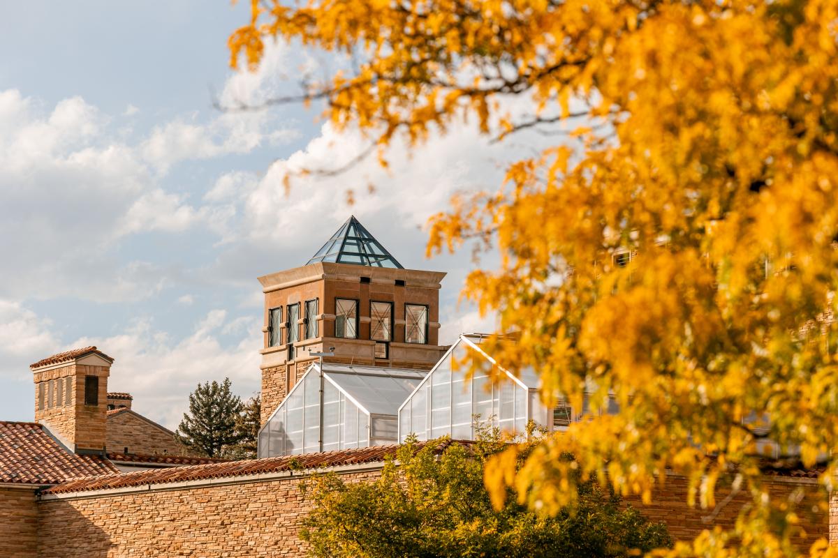 Campus Scenic