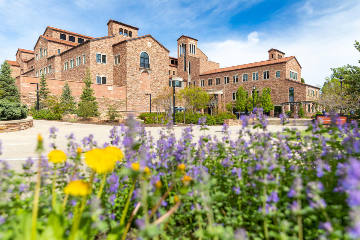 Center for Community in spring