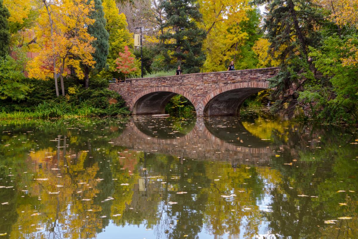 Varsity bridge