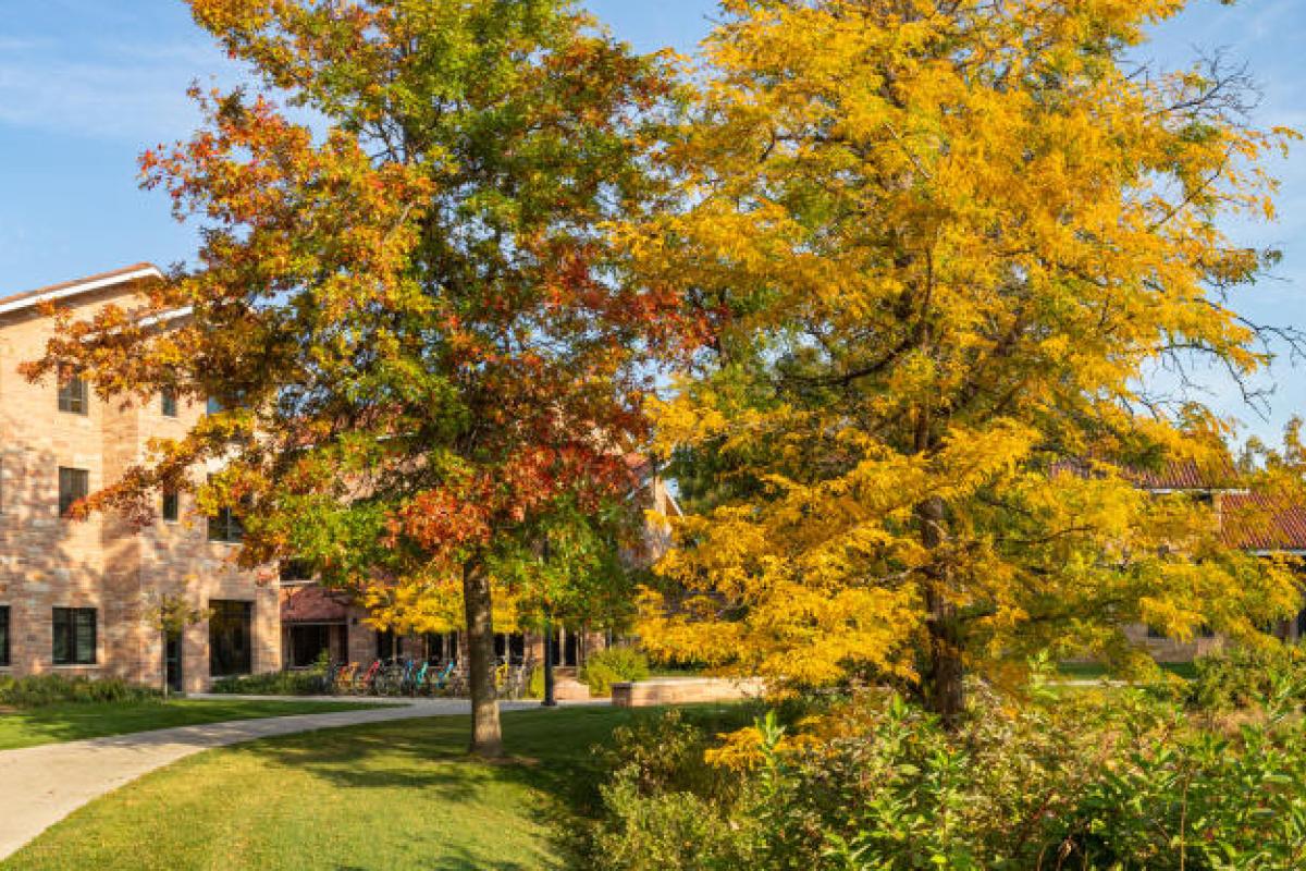 campus in fall