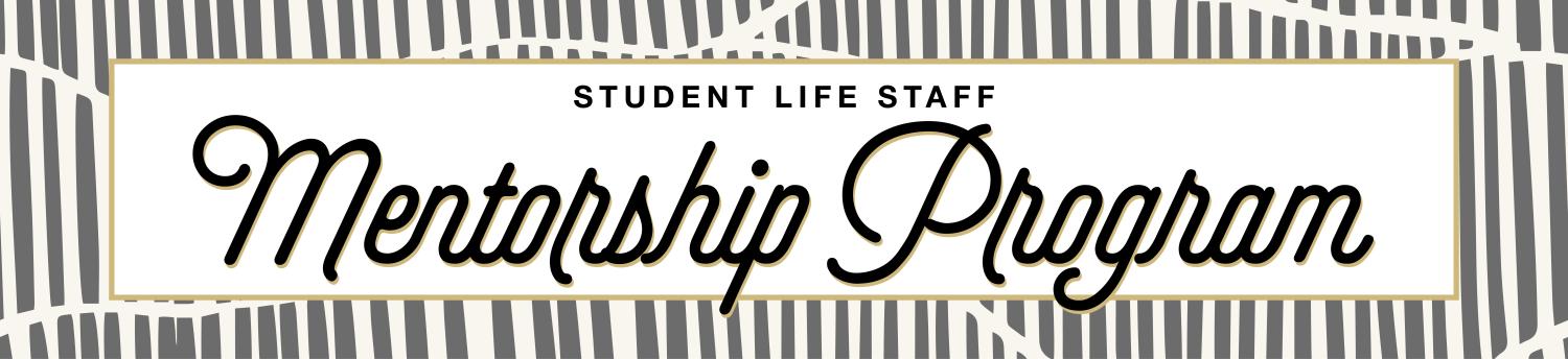Mentorship Program