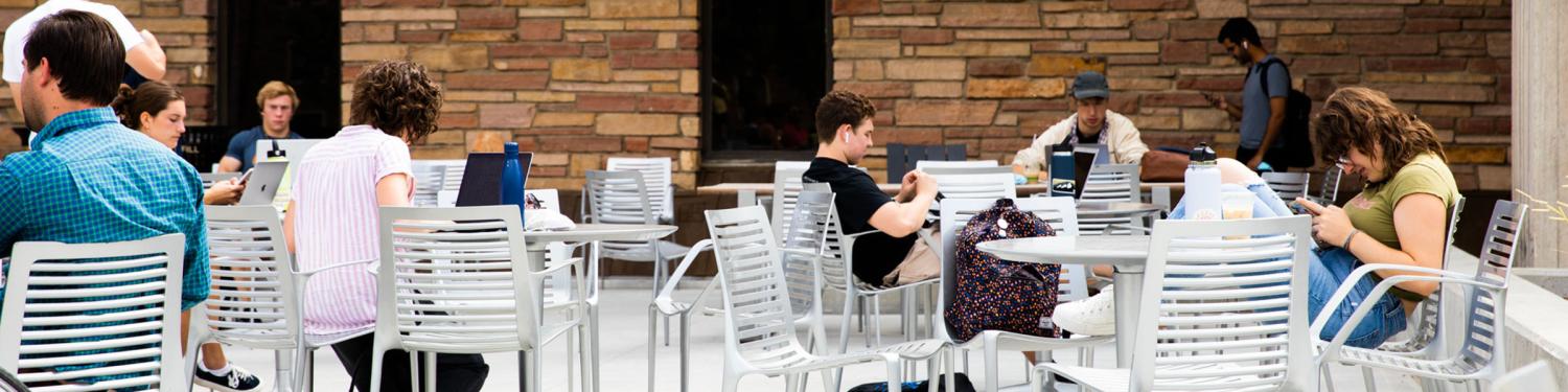 Students studying on campus