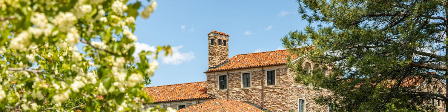 Scenic photo of a campus building