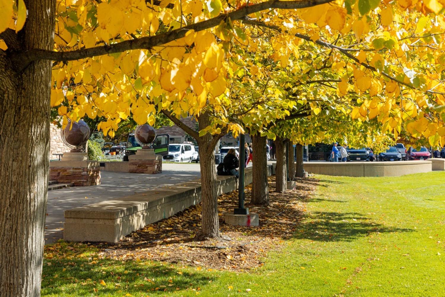 A student sitting outside on campus