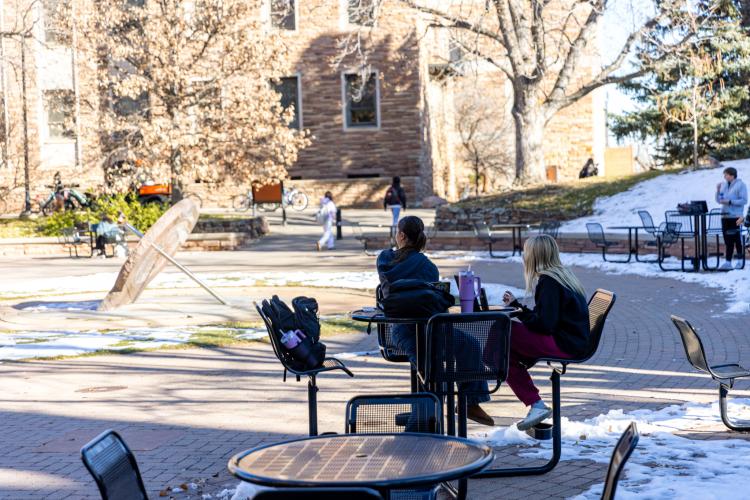 students studying outside