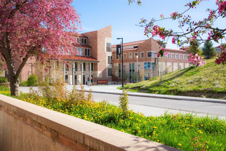 campus