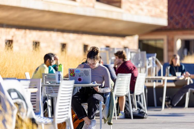 student working on computer outside