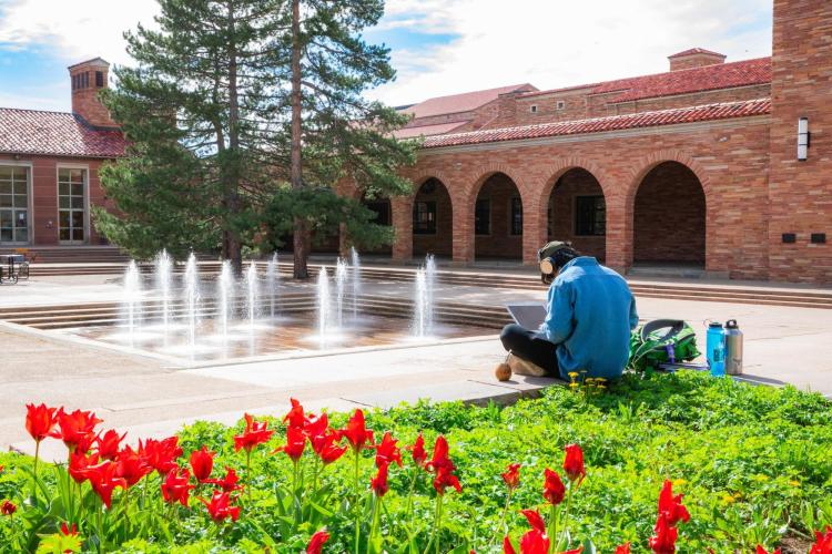 Campus scenic