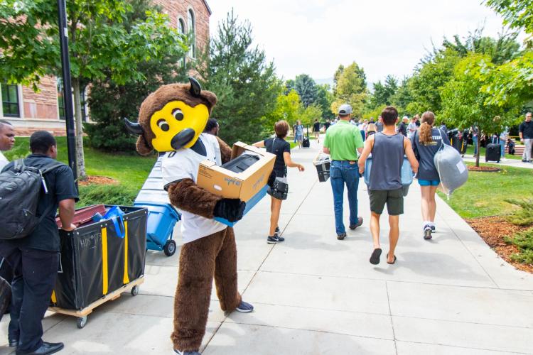 Chip helps students move into the residence halls