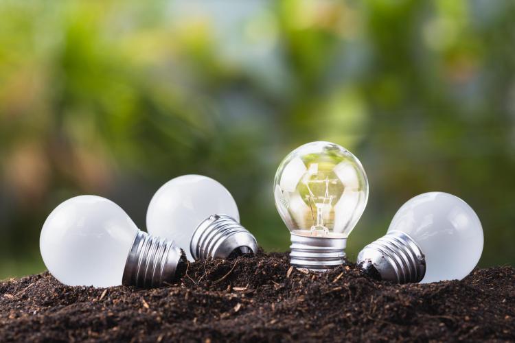 Lightbulbs
