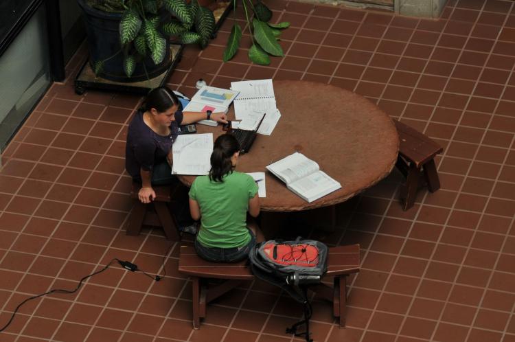 studying