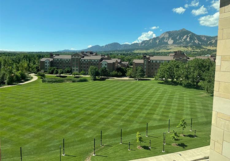 Will Vill Soccer Field