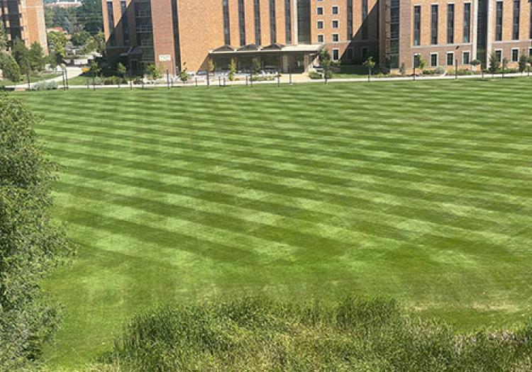 Will Vill Soccer Field