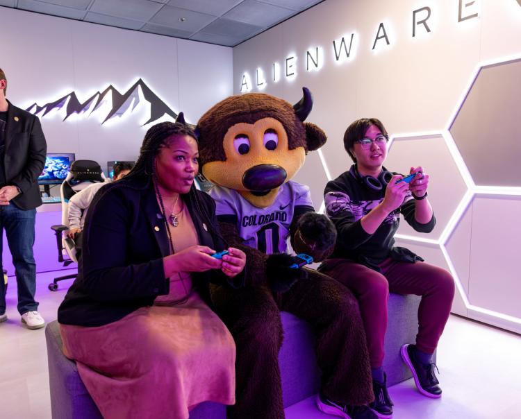 Gaming Lounge