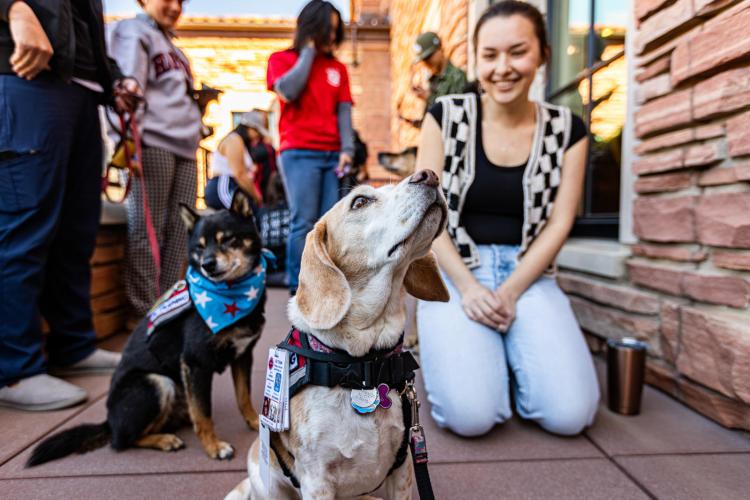 student with dog