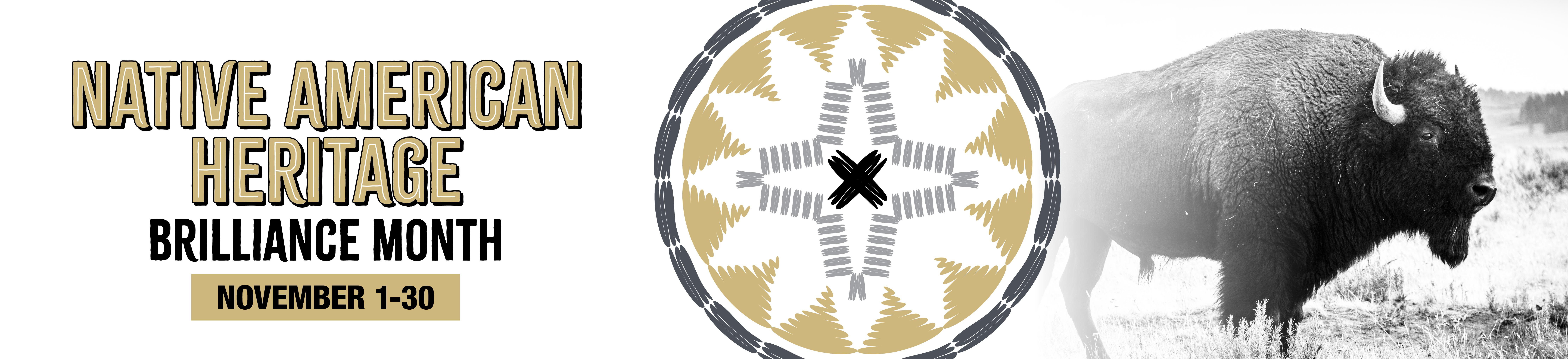 Native Brilliance designed graphic