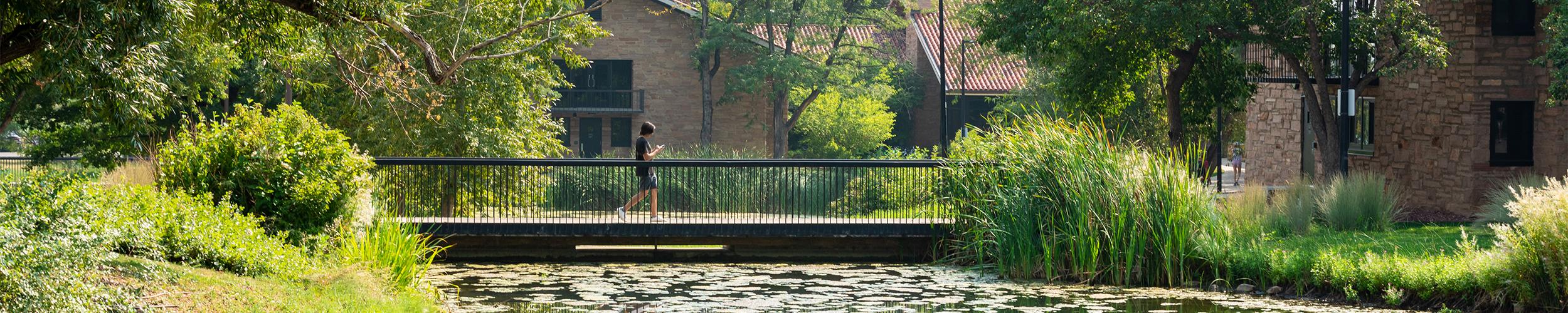 Campus scenic
