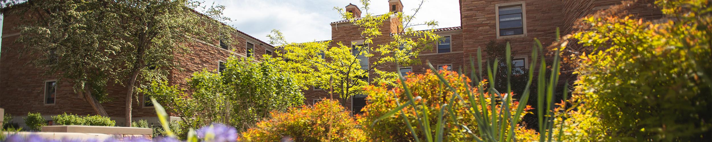 Campus scenic