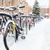 Bikes in the snow