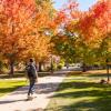 A student skateboarding on campus