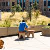 Students sitting at tables outside on campus
