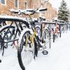 bikes in the snow