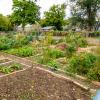 compost