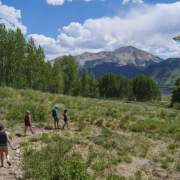 People hiking.