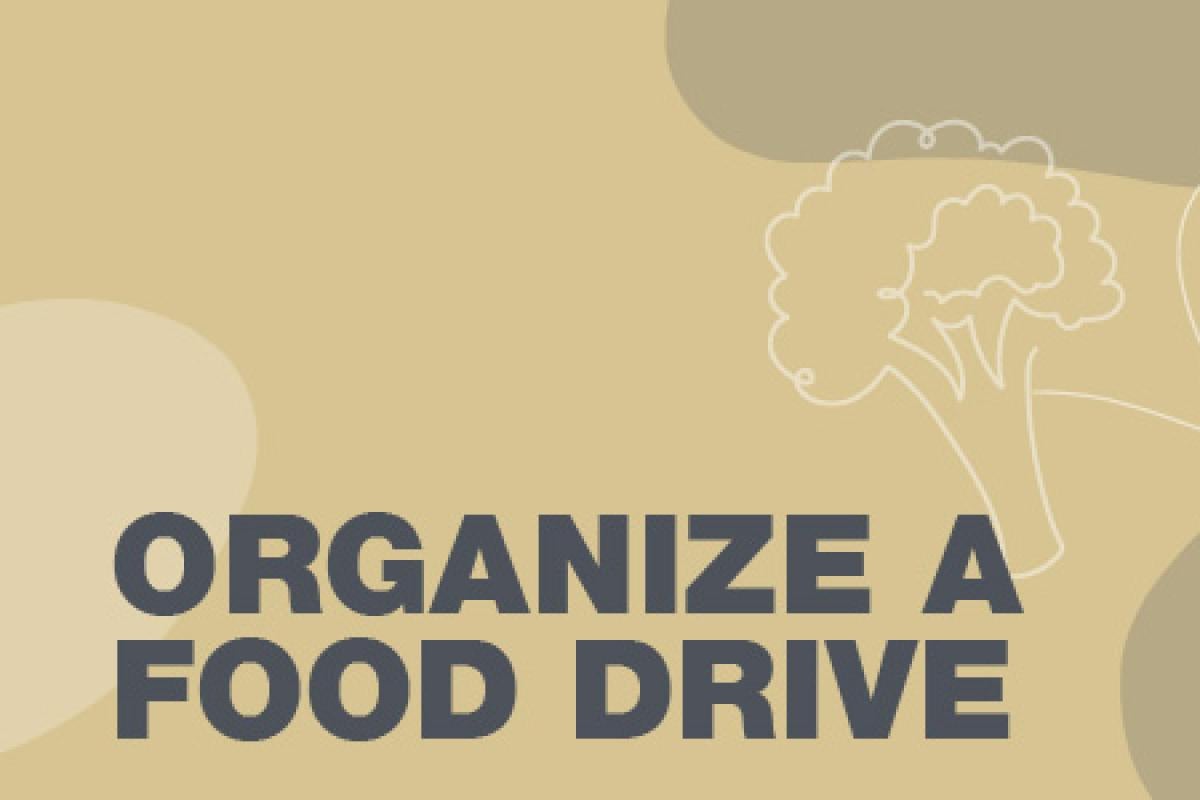 stylized text 'organize a food drive'