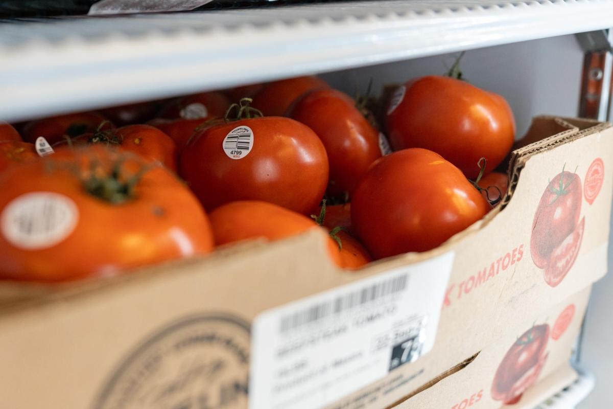 picture of tomatoes