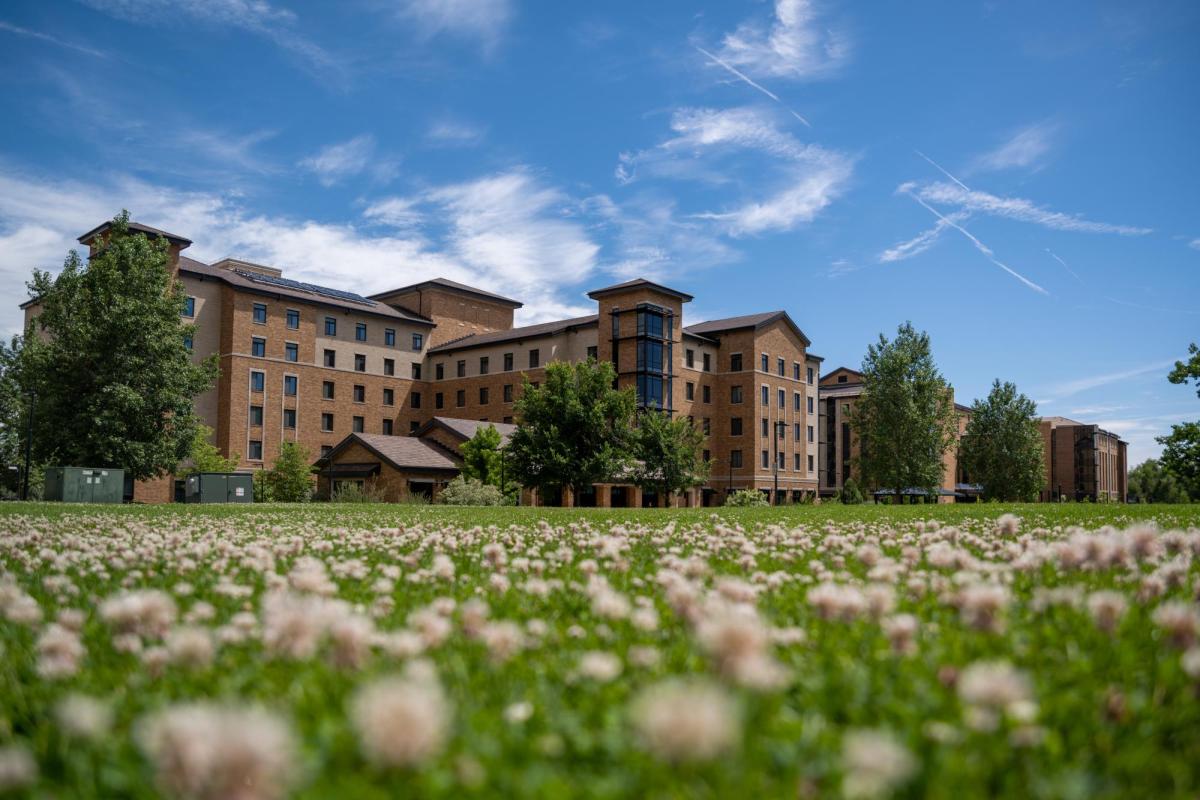 picture of residence hall