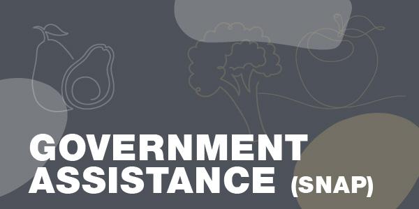 stylized text 'Government Assistance (SNAP)'