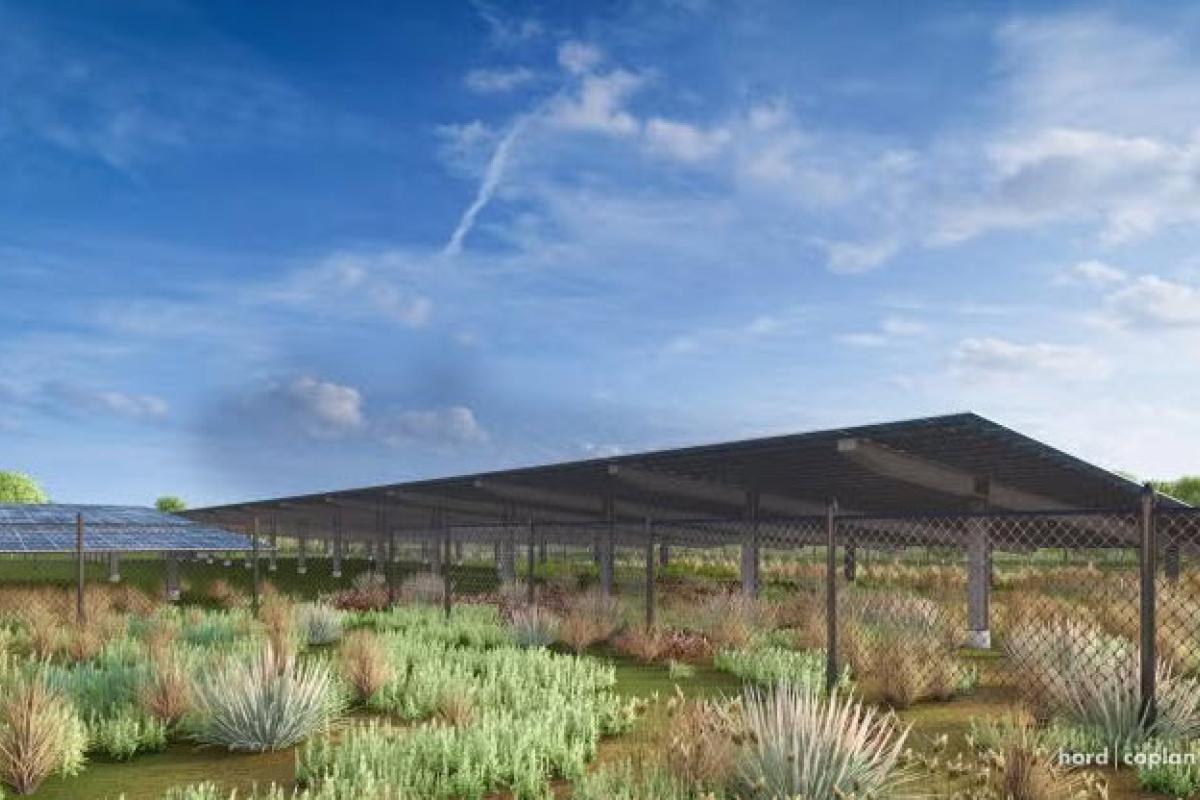 East Campus Solar Array