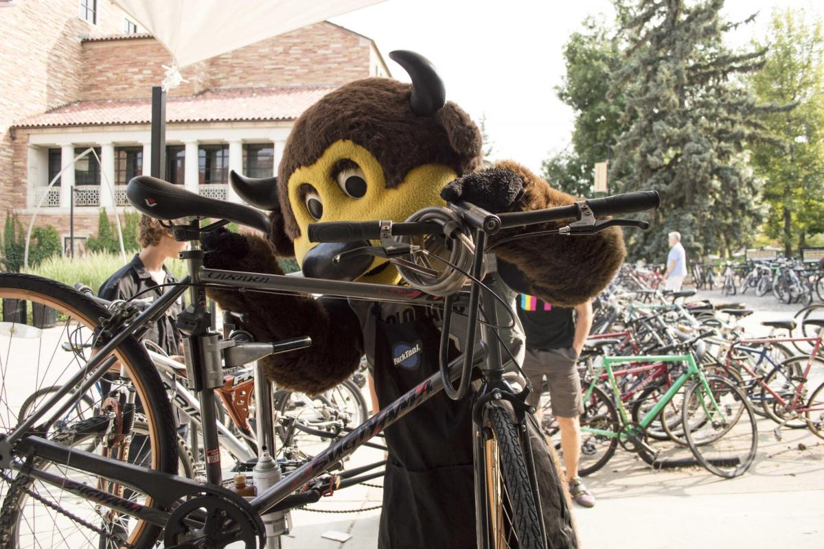CU Boulder mascot Chip helping a student with their bike.