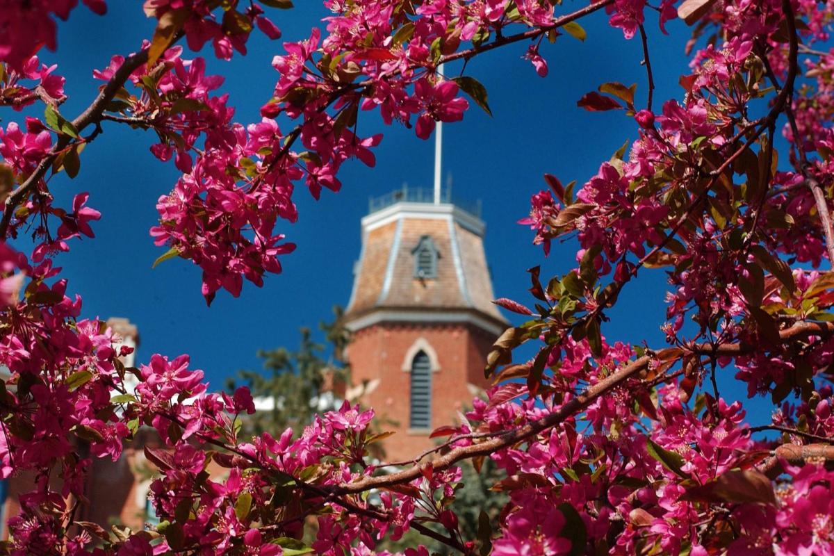 Old Main in the spring