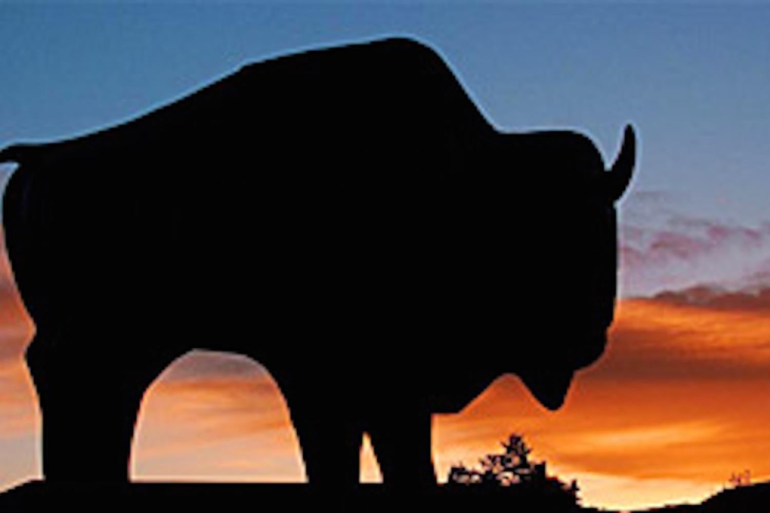 Bison statue at sunset