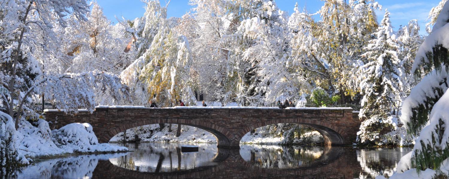 Wintery photo of Varsity Bridge