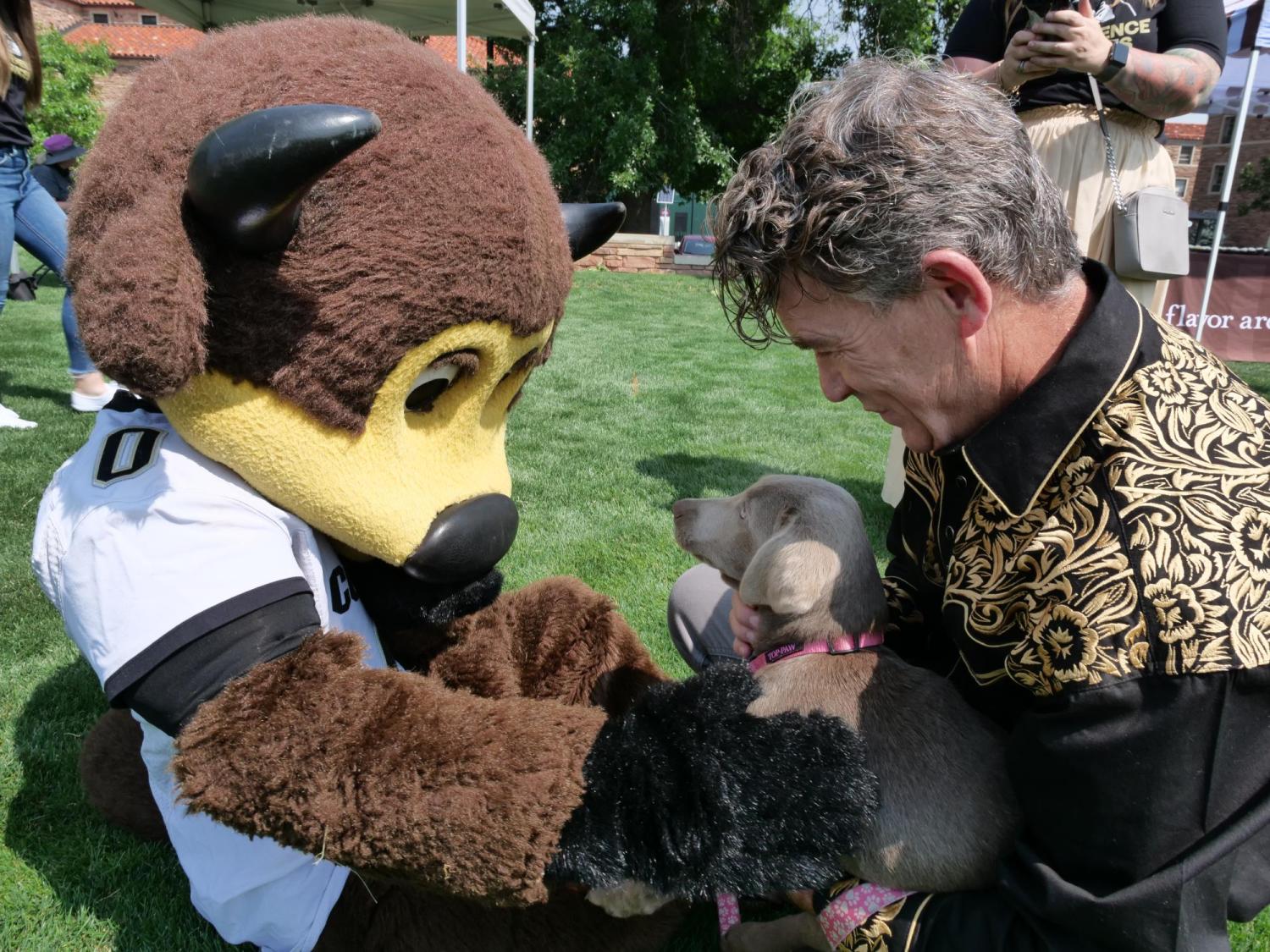 Puppy Harley meets CU mascot Chip. CU photo by Casey Cass.