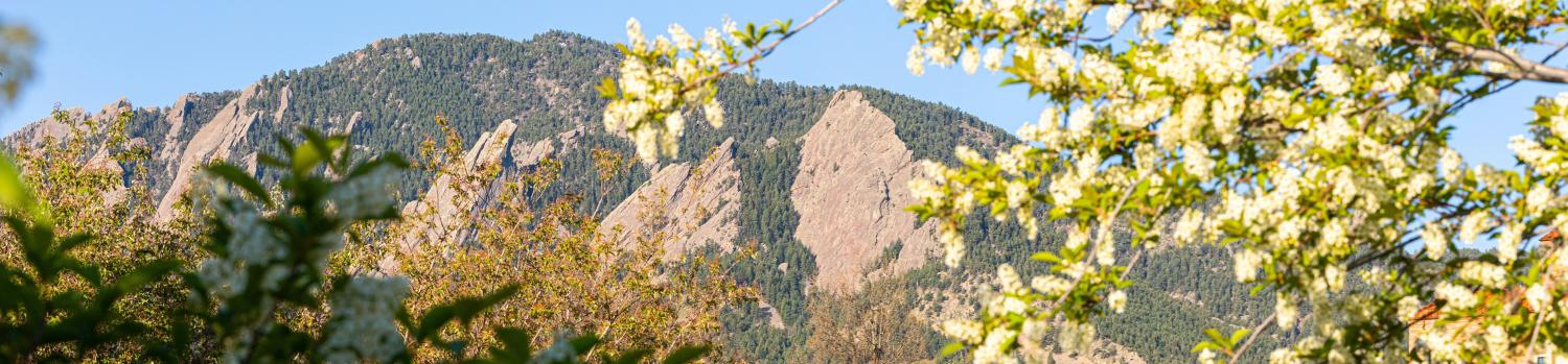 Flatirons