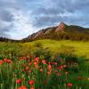 flagstaff