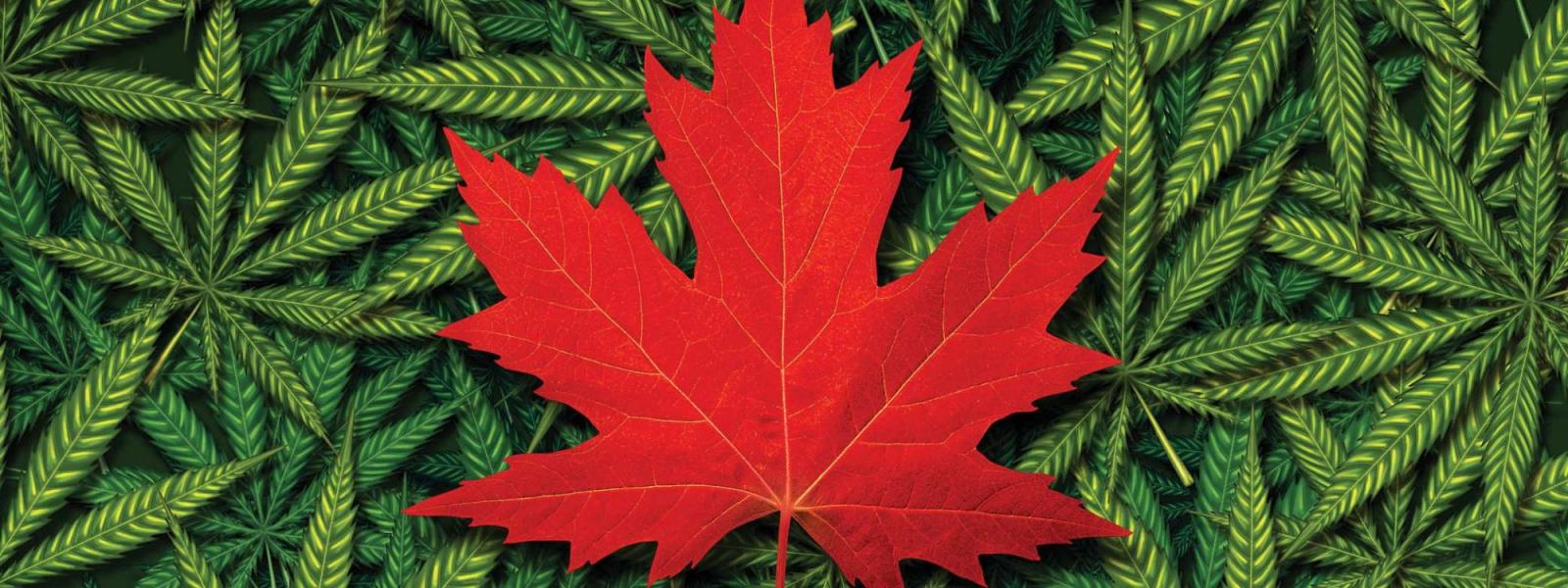 Cannabis Legalization and Youth: Developing Clear Messages in an Evolving Policy Climate
