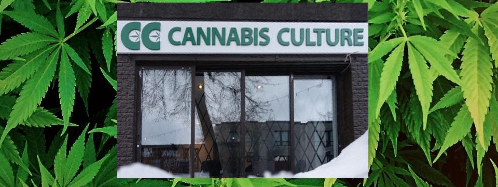 Cannabis Retail Outlet