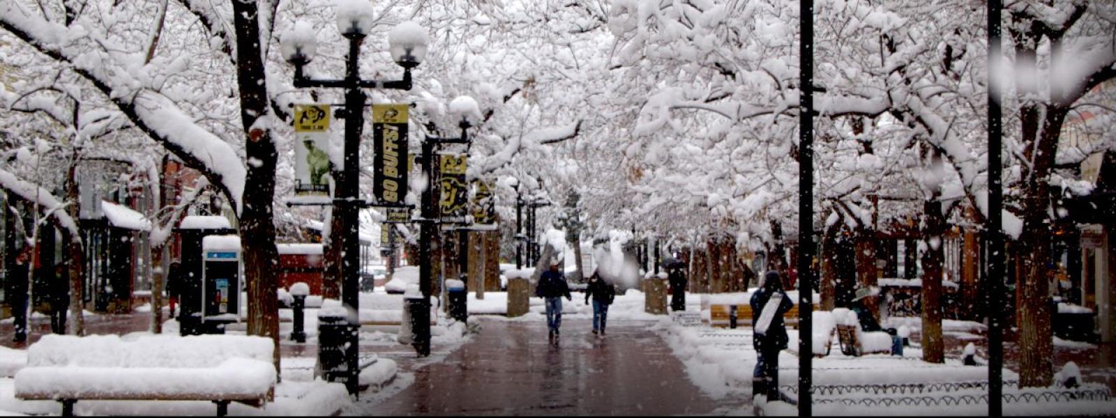 Pearl Street snow