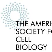 ASCB: An international forum for cell biology