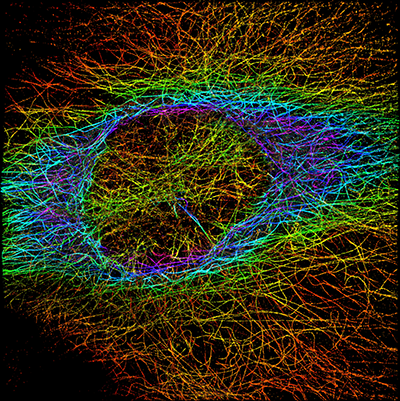 Gaussian colorized Microtubules