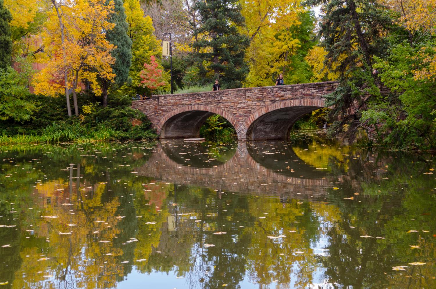Varsity bridge